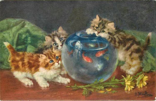 Пекрасное III - коротенько о котиках Merlin (фото 2)