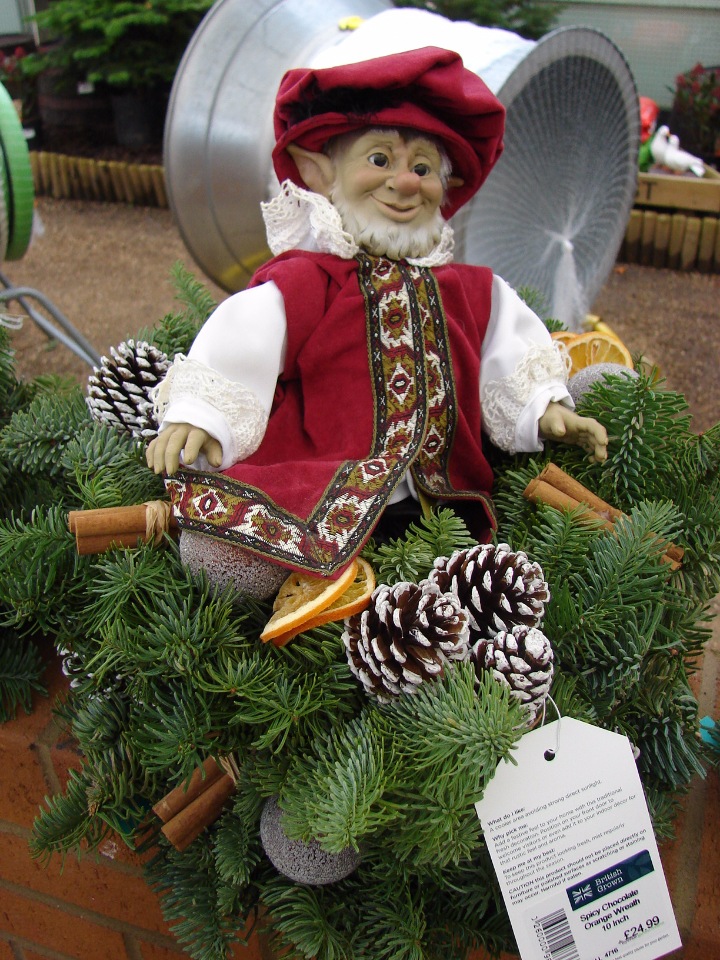 На подушках из павлиньих перьев засыпают маленькие эльфы