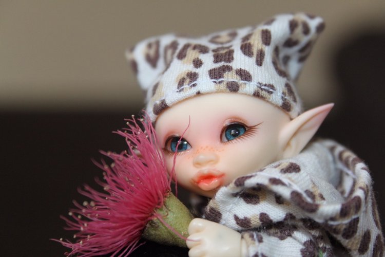 Осень в Австралии — Одежда и обувь для кукол BJD (БЖД): 1/3