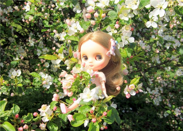 Блайзочки на природе — Оригинальные куклы Blythe (Блайз): Takara (фото 2)