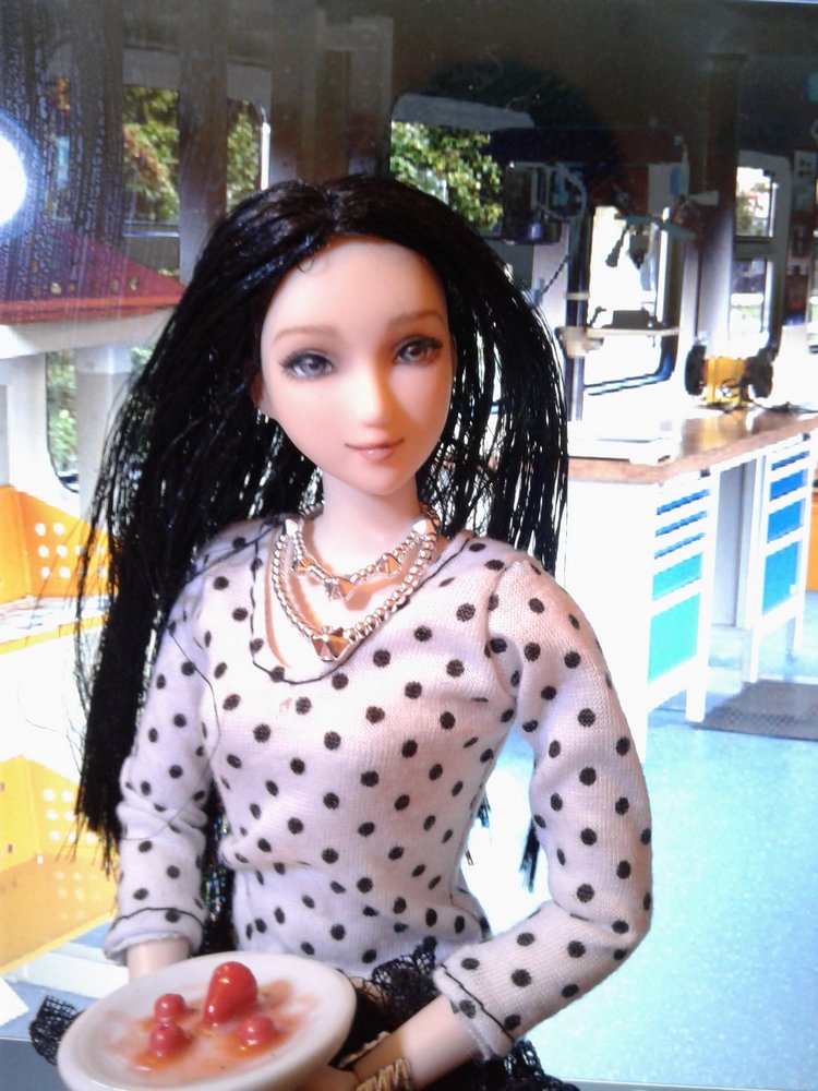 Зимнее солнце. Глава 1. Сказочный поезд