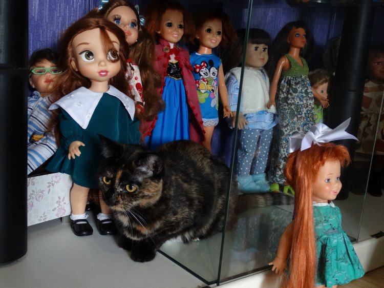 Мохнатые помощники — В мире животных: смешные фото питомцев и зверей