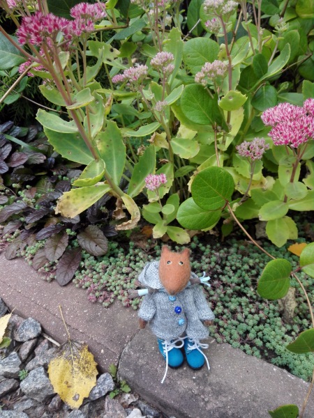 Краски осени. Прогулка с авторским лисёнком