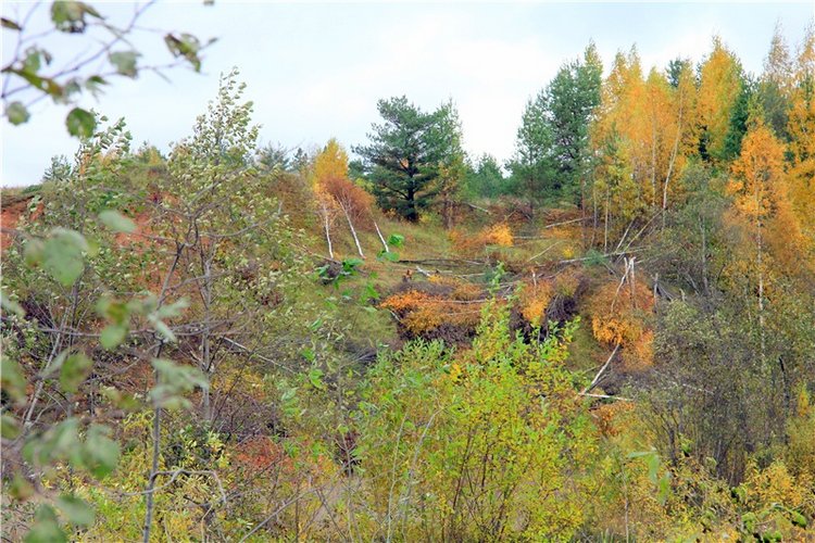 Тверской Водопад — Туризм и путешествия: фотоотчеты из поездок