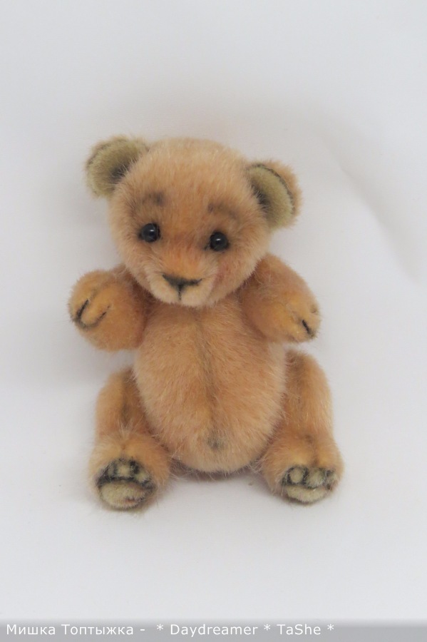Позитивный мишка по имени Топтыжка (фото 7)