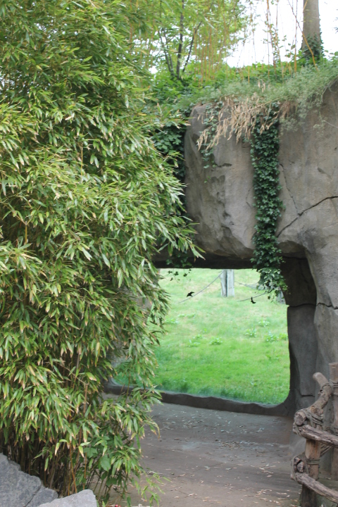 По Германии: зоопарк Лейпцига, часть 3