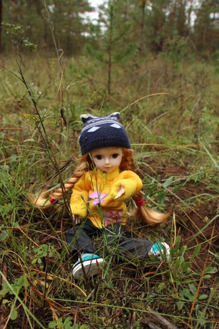 По грибы. Бузулукский бор (фото 7)