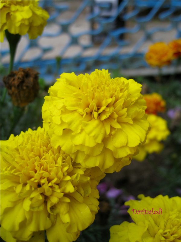 Моя милая девочка Полина! Кукла Paola Reina | Бэйбики Моя милая девочка Полина! Кукла Paola Reina