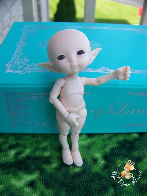 Новая семейка...или *Крошка на ладошке*-2-Titi & Toki Realpuki от Fairyland