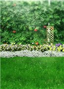 Закрыто. Совместная закупка фонов для фотографирования кукол