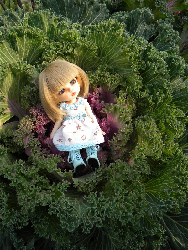 Пионка прощается с летом — Куклы Fairyland (ФэйриЛэнд): BJD (БЖД) (фото 2)