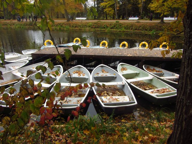 Забреду сегодня в парк осенний (фото 8)