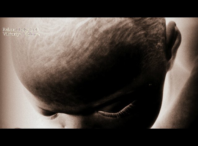 Лапуля Knox... Куколка реборн Виктории Вишни