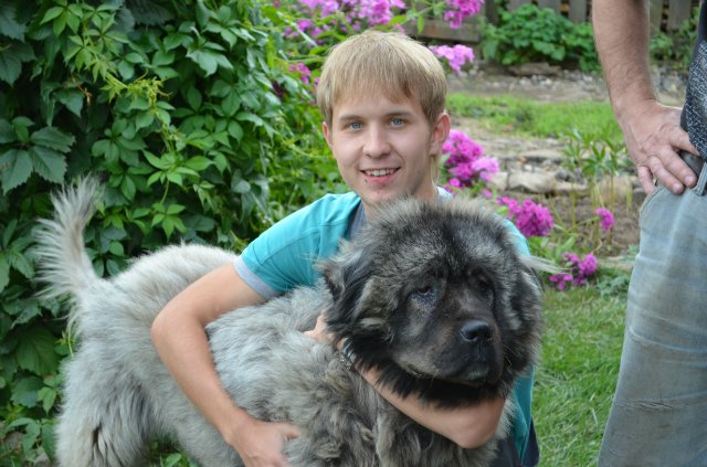 Против многодетных — Болталка и разговоры обо всем: жизнь (фото 6)