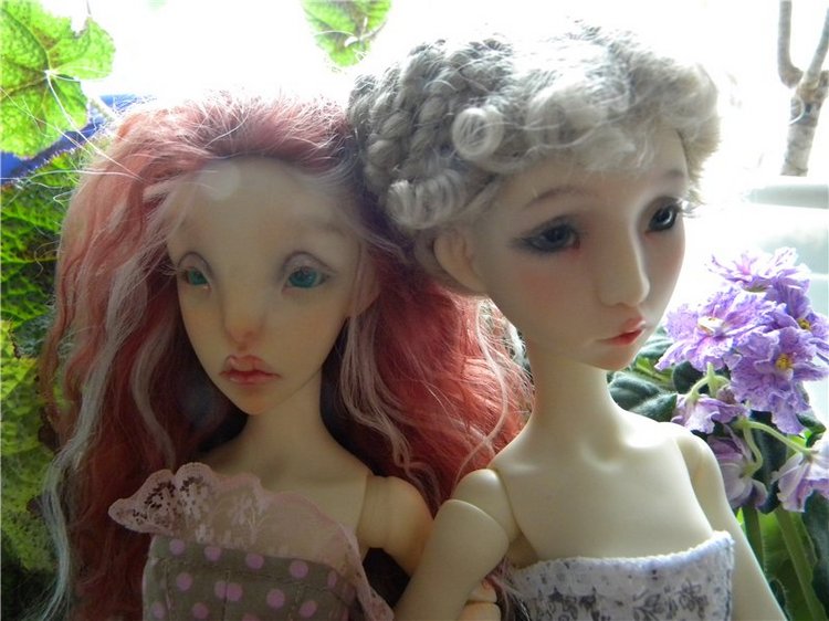 Теперь они вместе. Мои Лилликэтки Constantine и Ninon (фото 10)