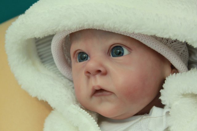 Фотоотчёт №1 с выставки кукол декабрь2014 от Элины Кудрявцевой | Бэйбики Фотоотчёт №1 с выставки кукол декабрь2014 от Элины Кудрявцевой