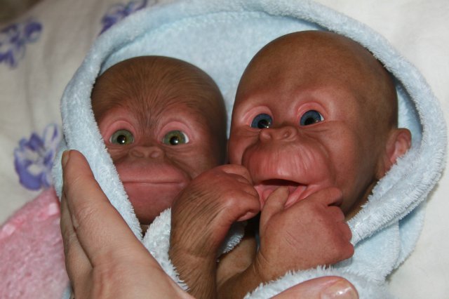 Бонька, обезьянка реборн Элины Кудрявцевой