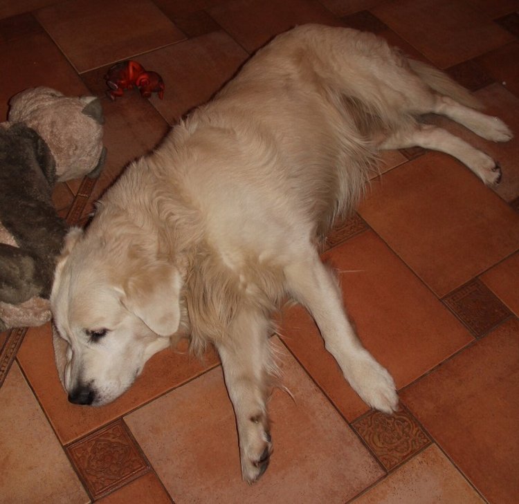 Уголочки мои драгоценные-2. Год спустя. Часть первая, БЖД-шная )