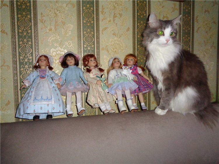 Я их посчитала... Коллекция виниловых кукол от Heidi Plusczok, часть 2