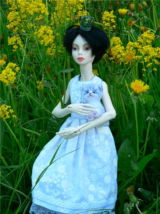 Серафимина прогулка | Бэйбики Серафимина прогулка — Куклы Yuki Doll (Юки Долл): авторские BJD (БЖД) (фото 2)