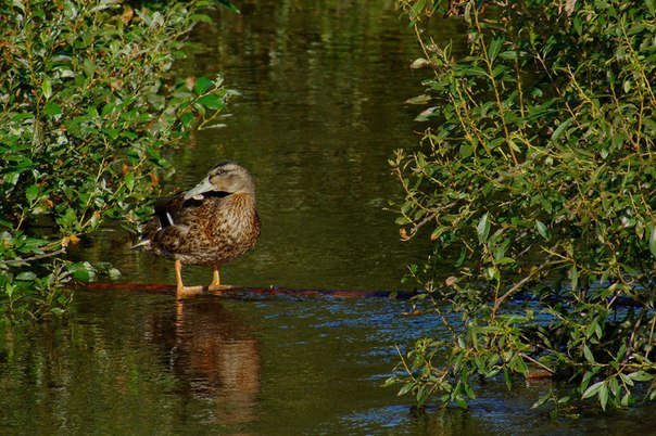 Назад в прошлое | Бэйбики Назад в прошлое — Болталка и разговоры обо всем: жизнь