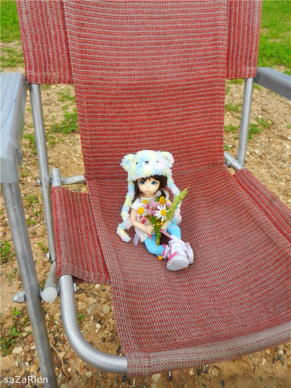 Варвара путешевственница (Литтлфи Анте)