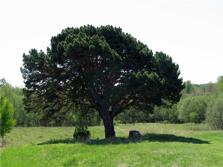 Субботний вояж. Часть первая