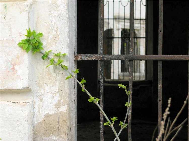 Путешествие в Старицу накануне Светлой Пасхи. Заключительная часть | Бэйбики Путешествие в Старицу накануне Светлой Пасхи. Заключительная часть