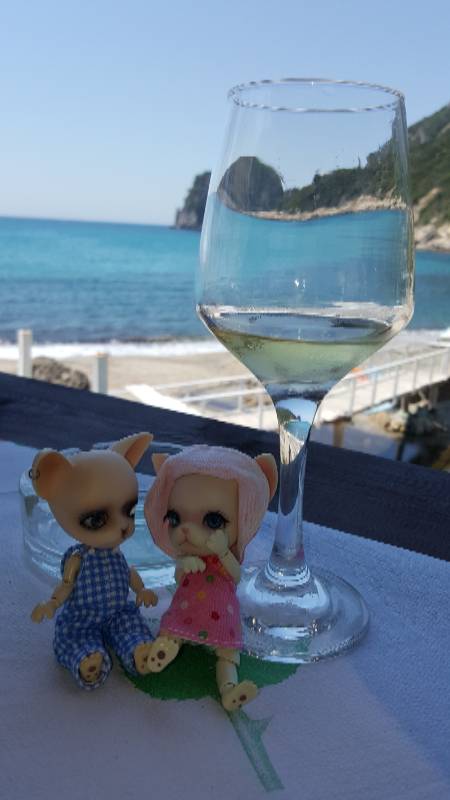 Новое путешествие Панг-Панга (фото 6)