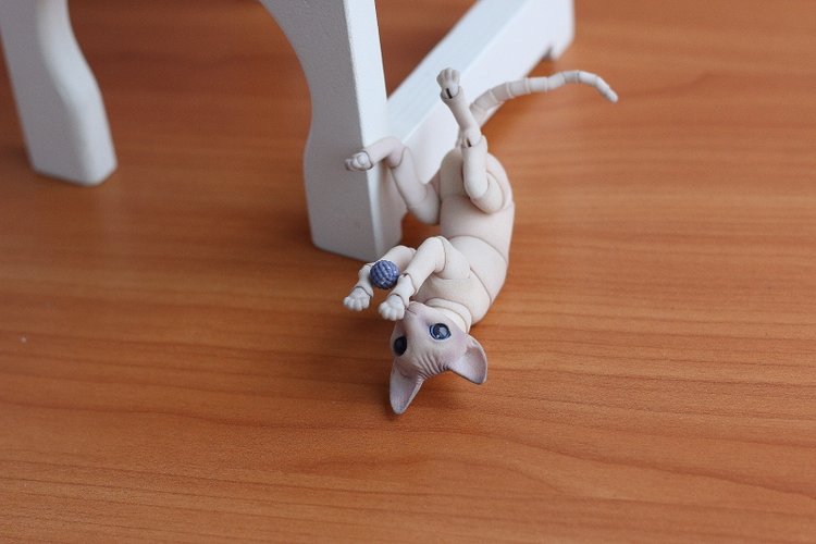 Кот играет с мячиком — Разные куклы BJD (БЖД): редкие бренды