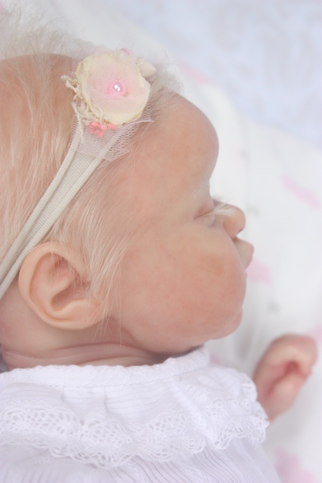 Малышка реборн Evangelina