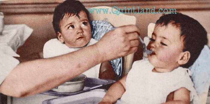 История трагической жизни, ставшая фурором кукольного мира . Часть 3 Заключение