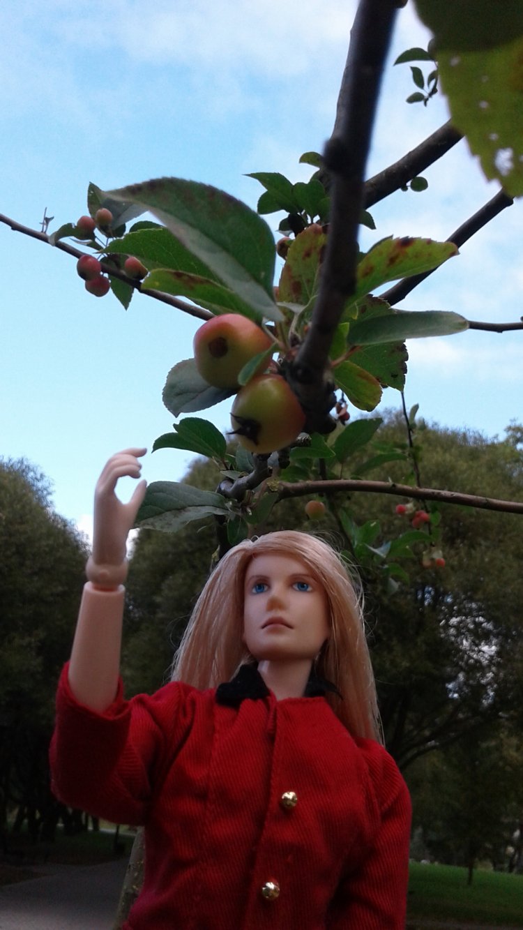 Зимнее солнце. Глава 6. Дом там, где сердце