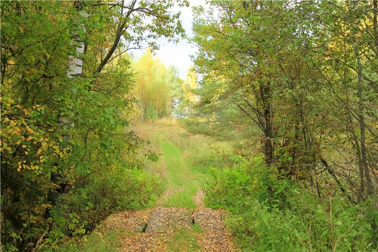 Тверской Водопад — Туризм и путешествия: фотоотчеты из поездок