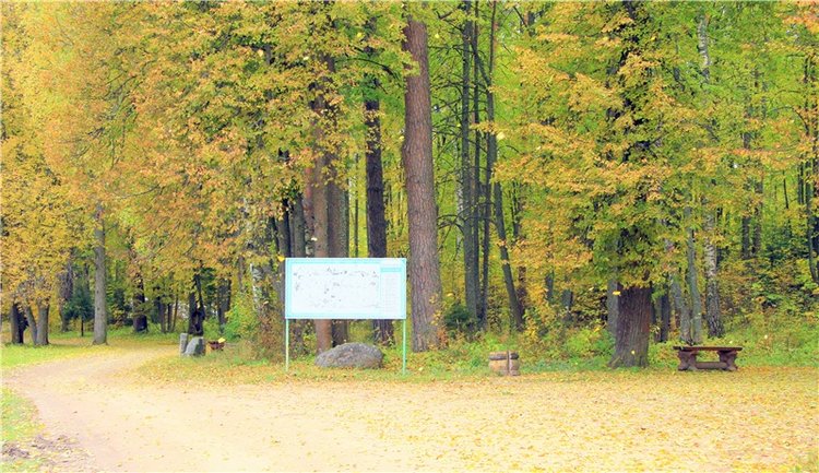 Из сентября в октябрь с воспоминанием о лете. Заключительная часть | Бэйбики Из сентября в октябрь с воспоминанием о лете. Заключительная часть
