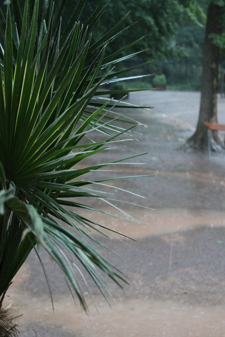 По Германии: зоопарк Лейпцига, часть 3