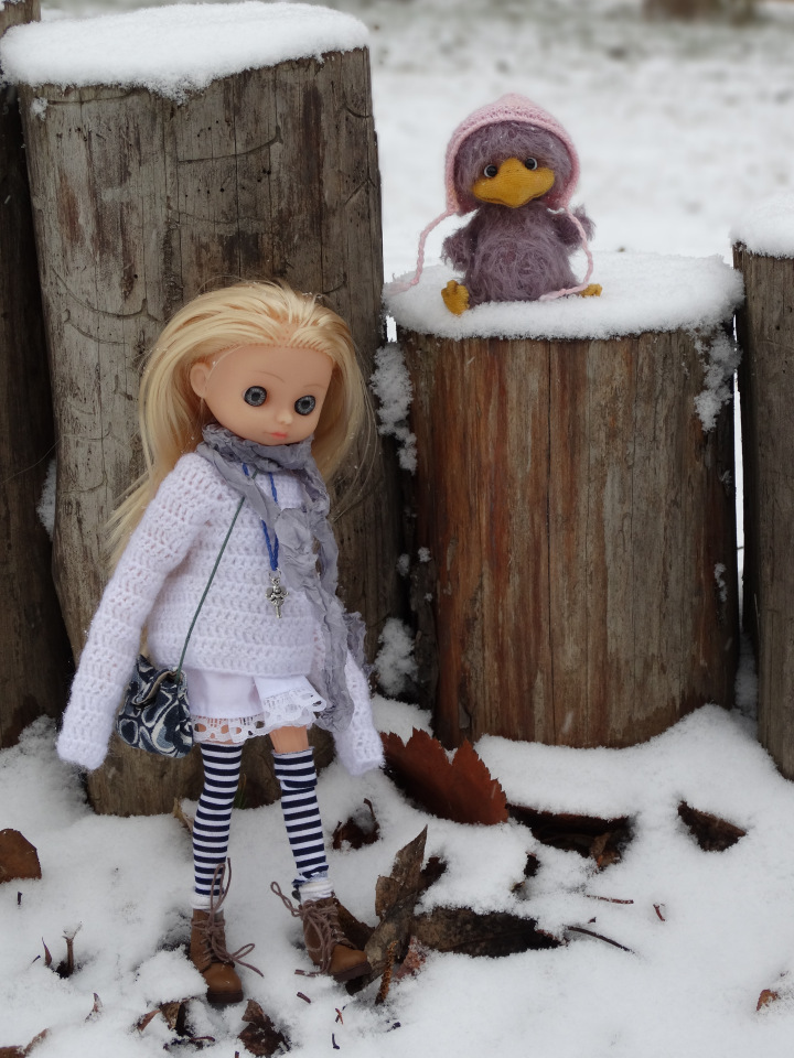 Мои птенчики. Ариша и её маленький друг (фото 3)