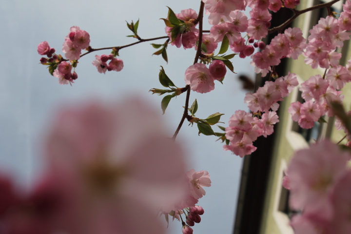 По Германии: весна в Лейпциге