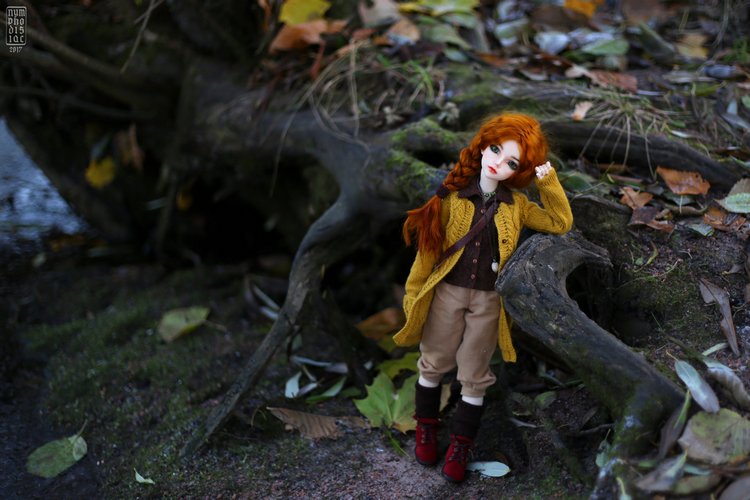 Мирвен в парке в последние дни осени (фото 5)