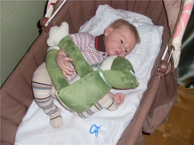 Как на нас напала ...жаба (фото 5)