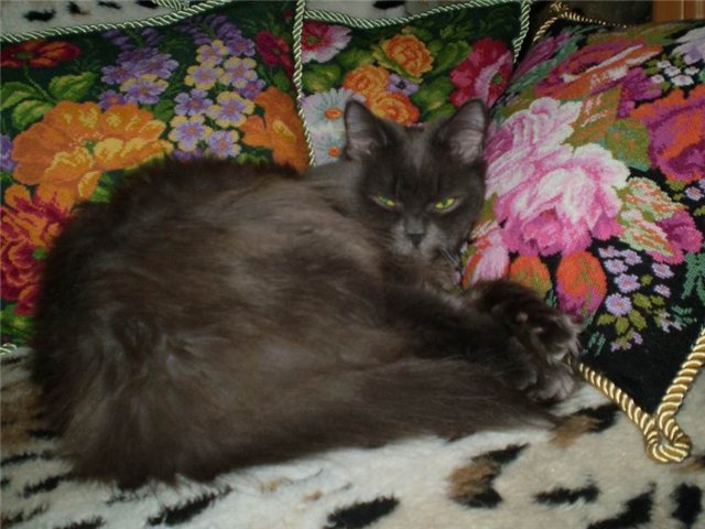 Моё увлечение - вышивание картин