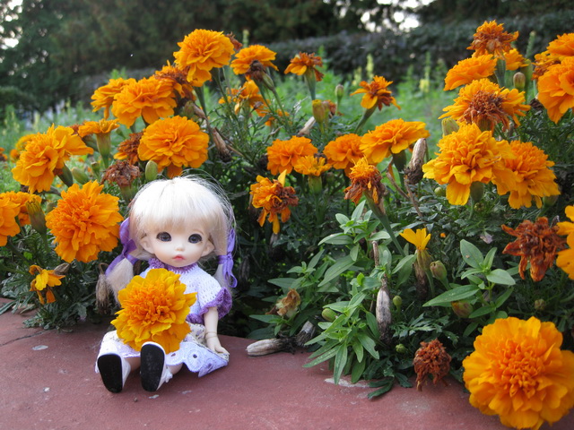 Золотая осень или прогулка по городу БЖД Пукифи Анте -- Элис | Бэйбики Золотая осень или прогулка по городу БЖД Пукифи Анте -- Элис