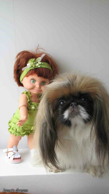 Прекрасные Феи Цветов. Galoob - Baby Face, часть 1