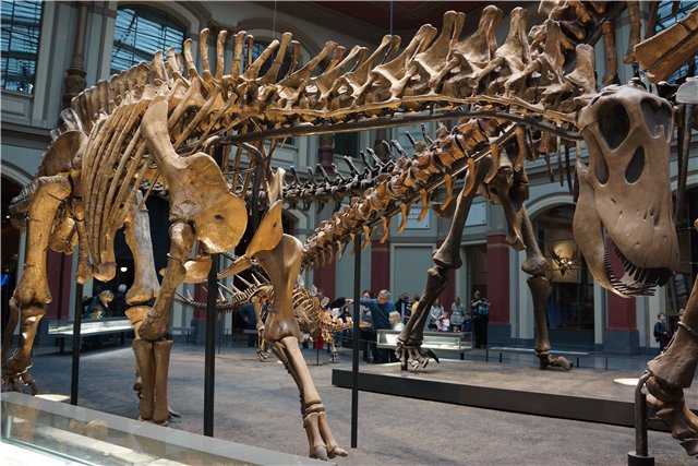 Взятие Берлина. Часть 3. Аква-дом, Улыбка бегемота и Прототип куколок Шильдкрот (фото 9)