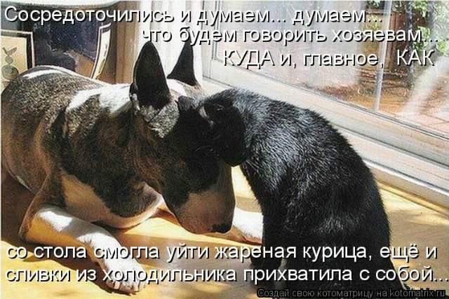 Понедельник - день тяжёлый | Бэйбики Понедельник - день тяжёлый