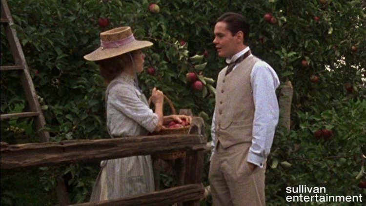 ЭНН ИЗ ЗЕЛЕНЫХ КРЫШ. ПОВАРЕННАЯ КНИГА. Рецепты из книги "Энн из Зеленых Крыш". Часть вторая