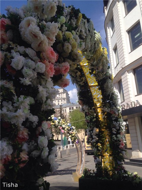 Шоколадные малышки — Домашние коллекции кукол: фото собраний