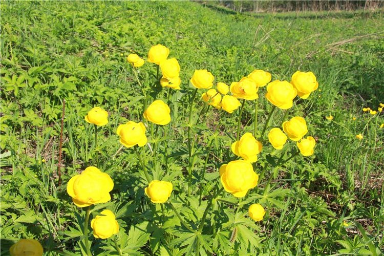 Субботний вояж. Заключительная часть