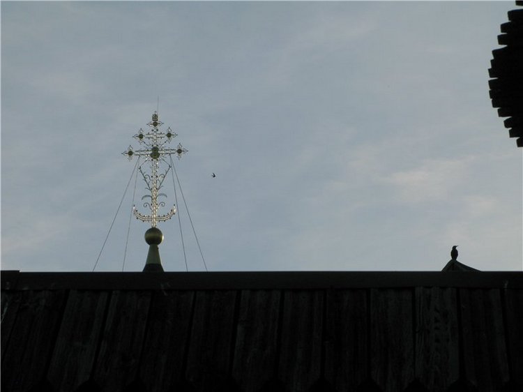 Прогулка с Райли. Riley от автора Helen Kish