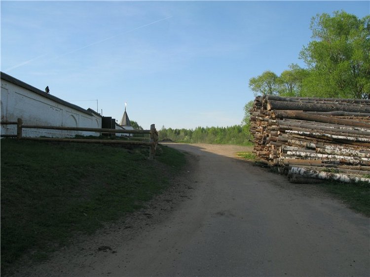 Прогулка с Райли. Riley от автора Helen Kish